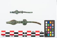 Foto von Bronzegewandnadelspitzenschoner (NHMW-PRAE-026596)